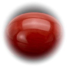 Red Coral